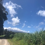 #2019 / Kilometer 2 / Betreutes Wohnen – oder wie ich auf den Kilimanjaro stieg (Teil 1)
