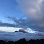 #2019 / Kilometer 4 / Mit Humor und Biss oder wie ich auf den Kilimanjaro stieg (Teil 3)